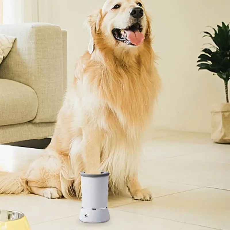 Pet Feet Washer Electrical