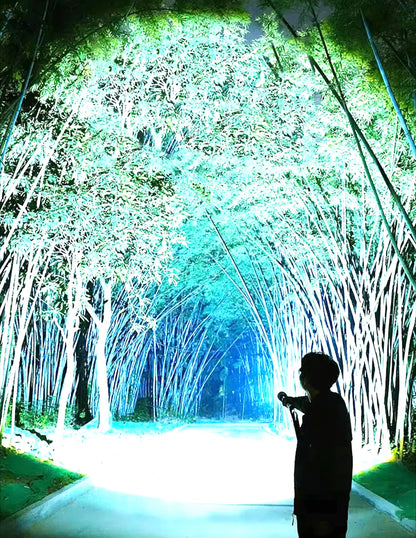 Ultra Bright Rechargeable LED Torch – Tactical Zoom Flashlight